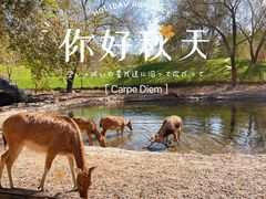 -北京野生动物园