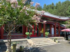 -宫事颐庭·老佛爷贵寿下午茶(颐和园店)