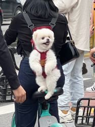 -禾里設計