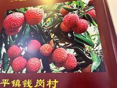 -开心农家菜