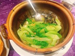 生菜-惠食佳·朱雀(东方商厦店)