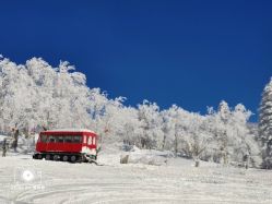 -大秃顶子山
