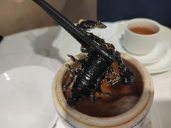 茯苓草龟炖蝎子-山泉公馆酒家(广州东站店)