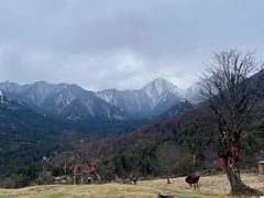 -硗碛藏寨·神木垒景区