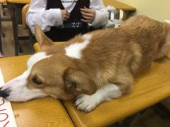 -韩通韩国语学院(虹口校区)