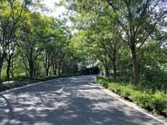 -同里国家湿地公园