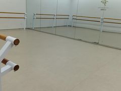 -红舞鞋舞蹈教育(近江校区)