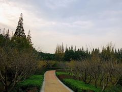 -同里国家湿地公园