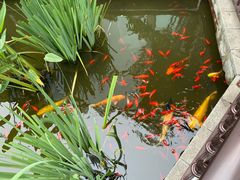 -聚缘堂·海鲜私房菜(松岭路店)