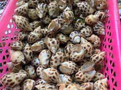 -板桥海鲜广场(文明东店)