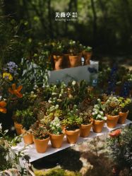 -美薇亭婚礼顾问