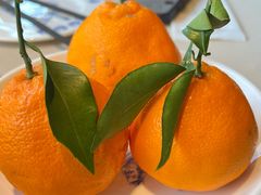 -龙森园火锅(琴台路店)