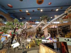 -卡通尼·Safari非洲探索乐园·生日会(金桥国际商业广场店)