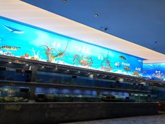 -外滩·云南人家(昆明旗舰店)