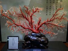 -绮丽珊瑚博物馆(台东店)