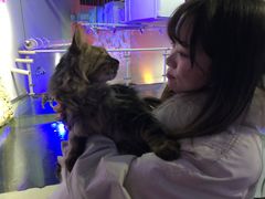 -极木²邸 人与宠物·互动社区