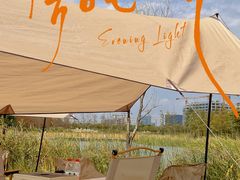 -春花秋色城市公园