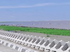 -南汇嘴观海公园