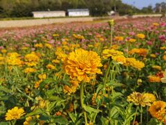 -蟠龙山长城景区