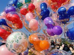 -上海迪士尼度假区