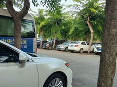 -万绿园