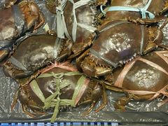 -旅南活海鲜-屏东(墾丁海鮮，海鮮餐廳，墾丁團體合菜，平價熱炒，墾丁熱炒店，活海鮮推薦，在地海鮮餐廳)