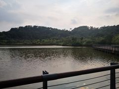 -飞凤山奥体公园