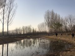 -东郊湿地公园