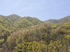 -玉渡山自然风景区