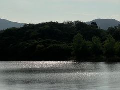 -佛手湖郊野公园