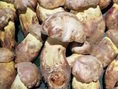 -银生食府·普洱菜(金星店)