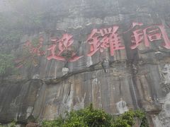 -铁山坪森林公园