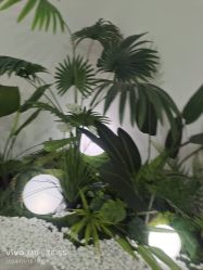 -HEYAN荷妍专业脱毛连锁机构