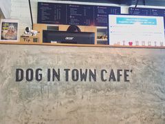 -Dog in Town Ekkamai