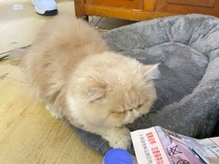 -鑫亮视光·蔡司品牌折扣店·配镜(哈工大科学园店)