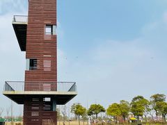 -春花秋色城市公园