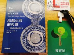 -新华文创·光的空间