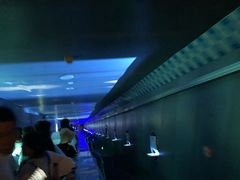 -白鹤梁水下博物馆