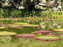 -国家植物园南园