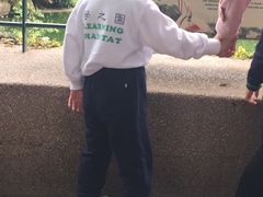 -九龙公园