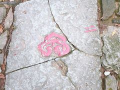 -西湖风景区十里琅珰-五云山