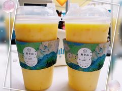 -野萃山·潮汕厚果汁(十亩地店)