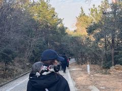 -虞山风景区