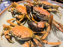 -正苑26年海鲜烤肉•牛尾汤汤饭(东港店)