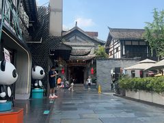 -小龙翻大江文化火锅(宽窄店)