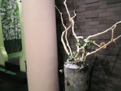 -盘子女人坊古装写真摄影(天津总店)