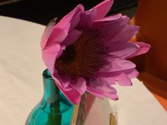 -许家菜.艺创菜(仁和新城店)