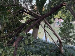 -杭州城北体育公园