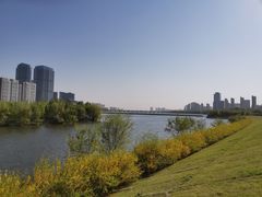 -长白岛森林公园