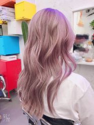 -SALON V